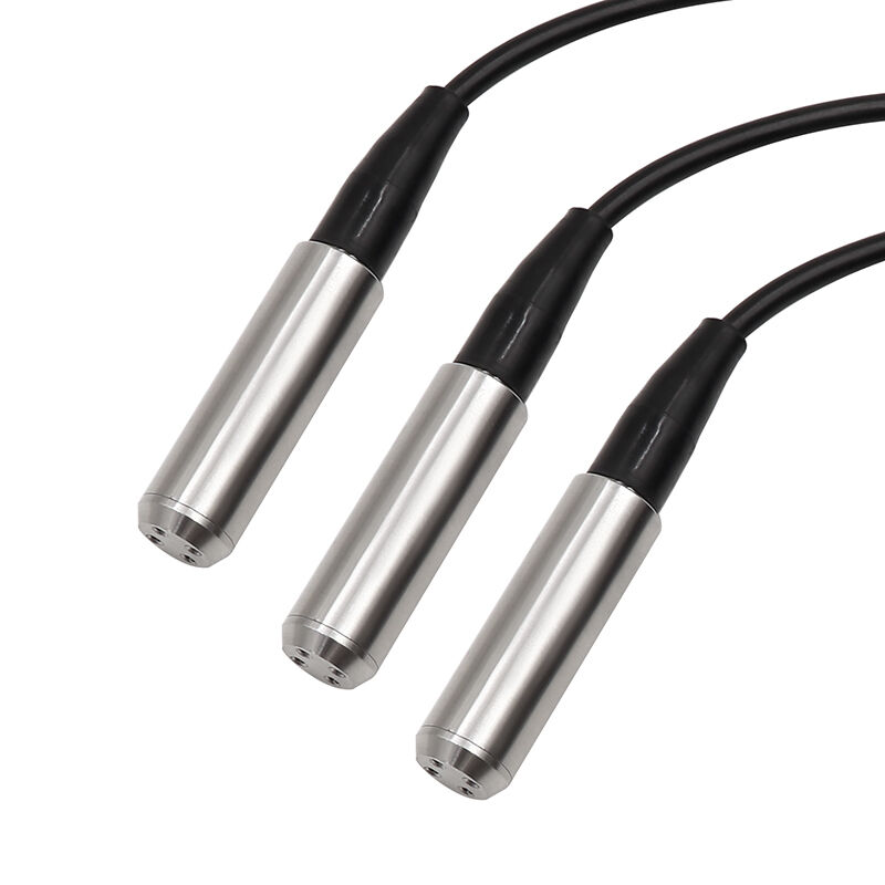 WNK 4~20mA 0-10V RS485 สแตนเลส เครื่องตรวจจับระดับถังน้ําสําหรับแม่น้ําและทะเลสาบ