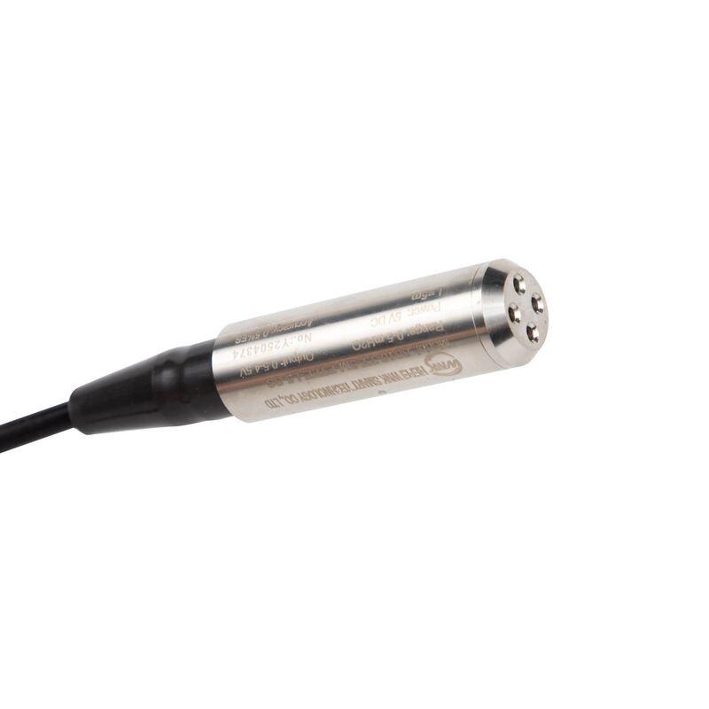 เซ็นเซอร์วัดระดับน้ำแบบจุ่มได้ ATEX ป้องกันการระเบิด 4-20mA 0-10V RS485 สำหรับบ่อน้ำลึก